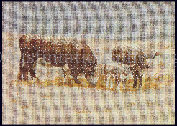 Rare Hereford Cattle Family Needlepoint Kit Prairie Blizzard